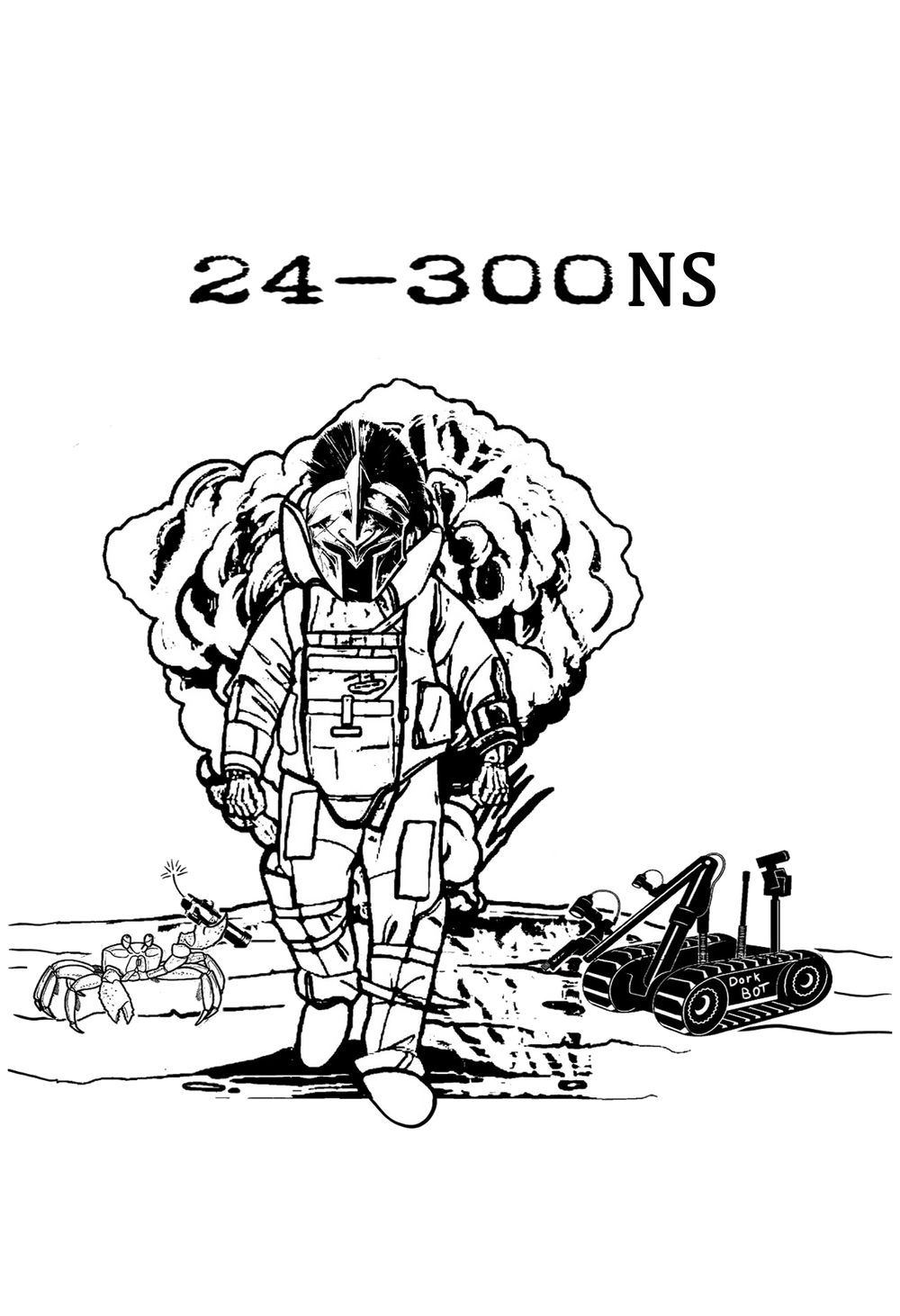 24-300 NS