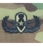 Army Senior OCP Badge