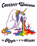 CrossFit Unicorn