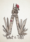 Post Cards: Erin Willoby 7 Designs Available (NEW LOW PRICE)