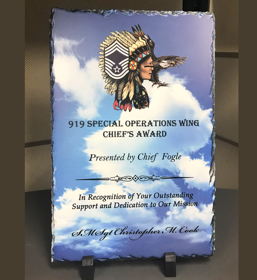 919 SOW Chief's Award